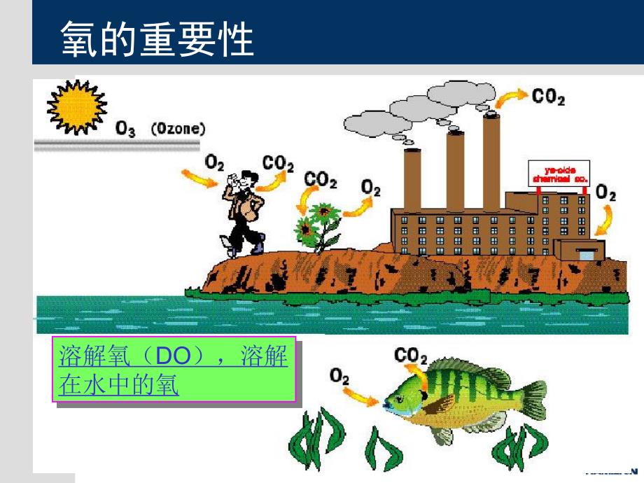 极谱式do电极理论与故障分析资料_第3页