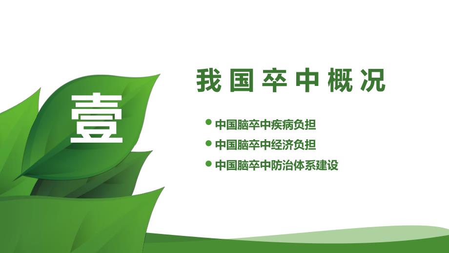 首都医科大学宣武医院脑卒中高危人群筛查和干预项目工作汇报资料_第3页