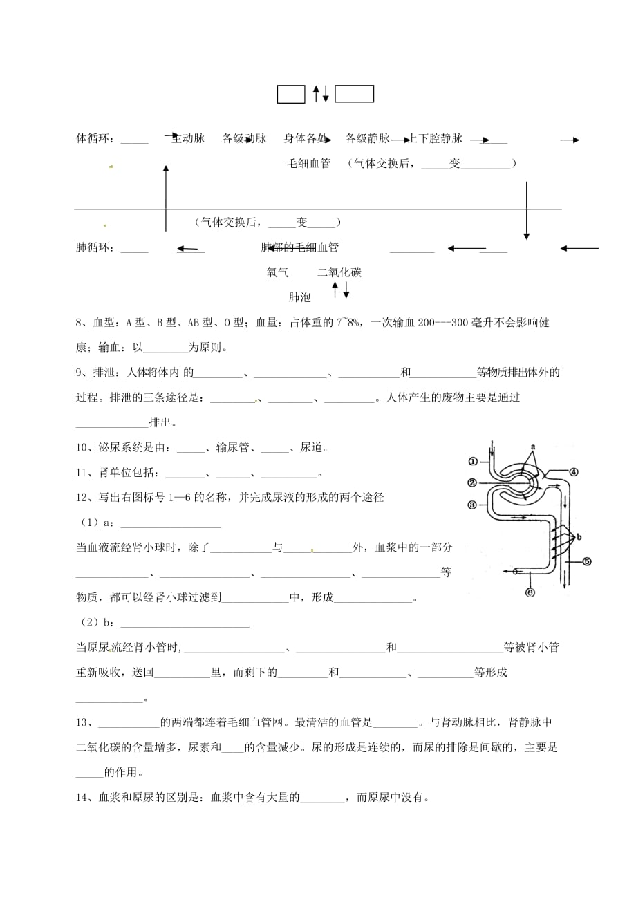 山东省临沂义堂中学八年级生物复习学案6（物质运输及废物的排出）（无答案）_第2页