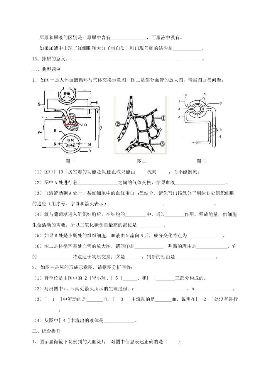 山东省临沂义堂中学八年级生物复习学案6（物质运输及废物的排出）（无答案）_第3页