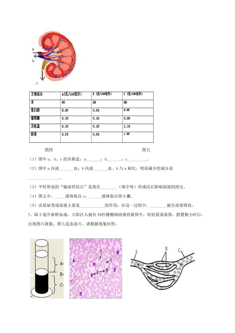 山东省临沂义堂中学八年级生物复习学案6（物质运输及废物的排出）（无答案）_第5页