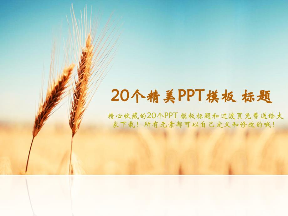 20个精美ppt模板标题(素材)_第1页