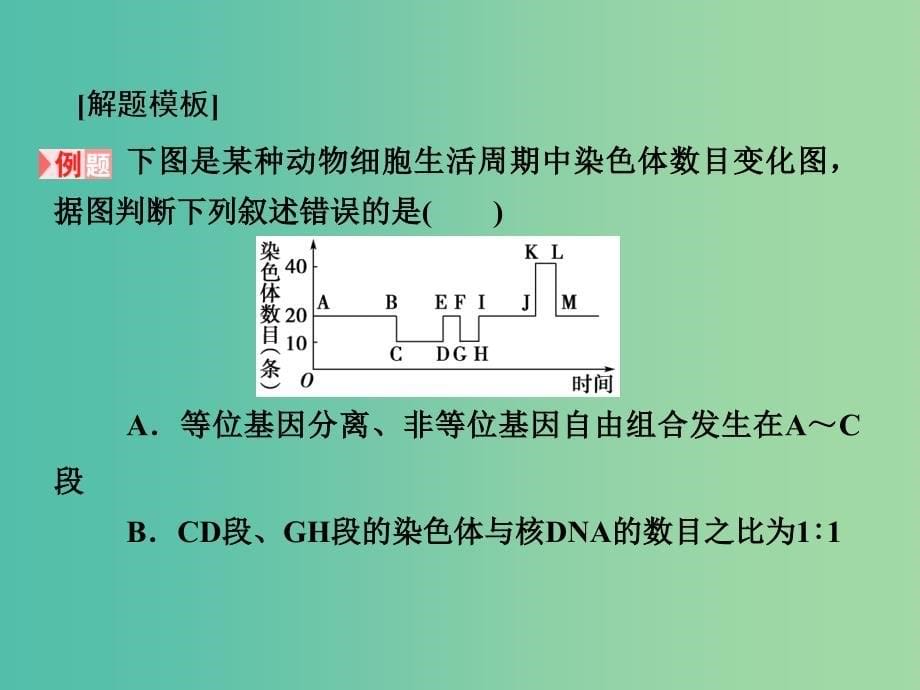 高考生物第一轮复习 第四单元 细胞的生命历程单元指导课件 新人教版必修1_第5页