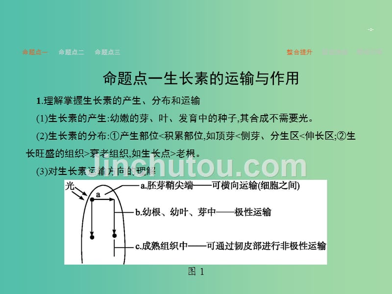 高考生物二轮复习 专题12 植物的激素调节课件_第2页