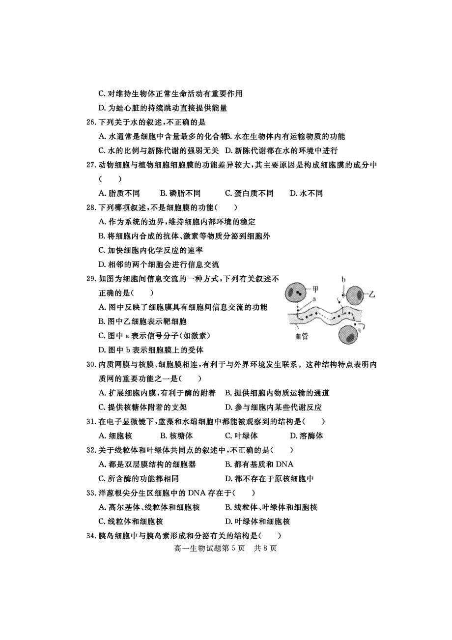 山东省济宁市兖州区高一生物期中试题（pdf）_第5页