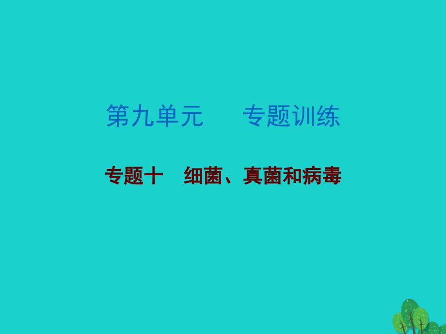 广东省2017年中考生物总复习 第九单元 专题训练十 细菌、真菌和病毒课件_第1页