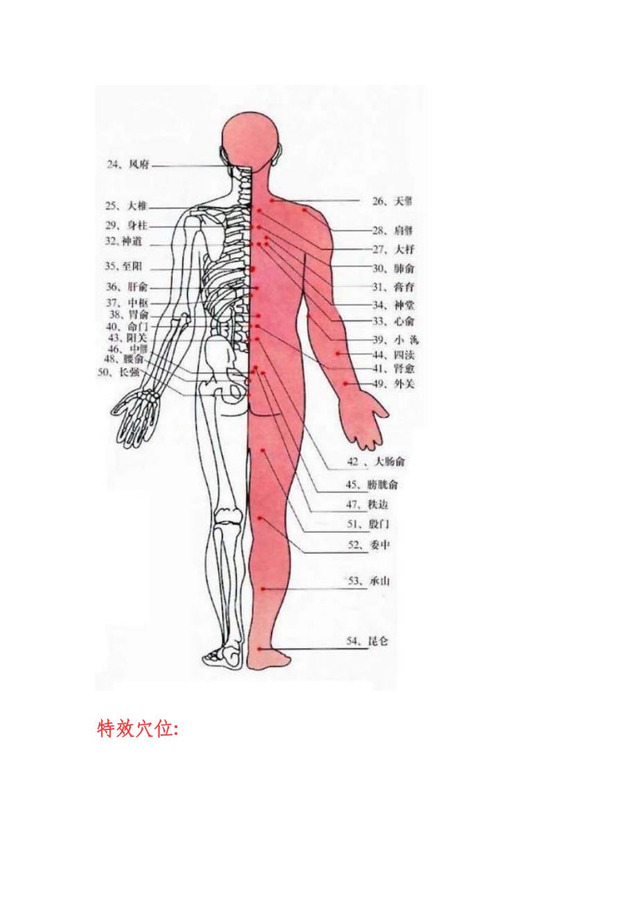 最全人体穴位图和对治病症(最新彩图)资料_第2页