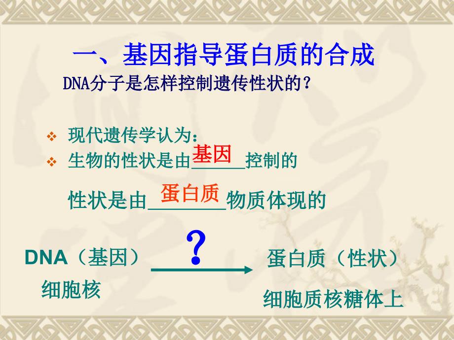 dna的转录和翻译资料_第2页