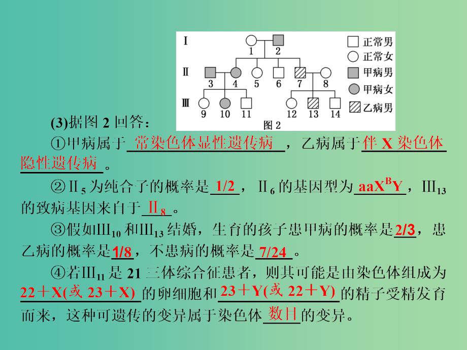 高考生物二轮复习专题三遗传串讲二遗传规律伴性遗传第2课时高考研究课件_第4页