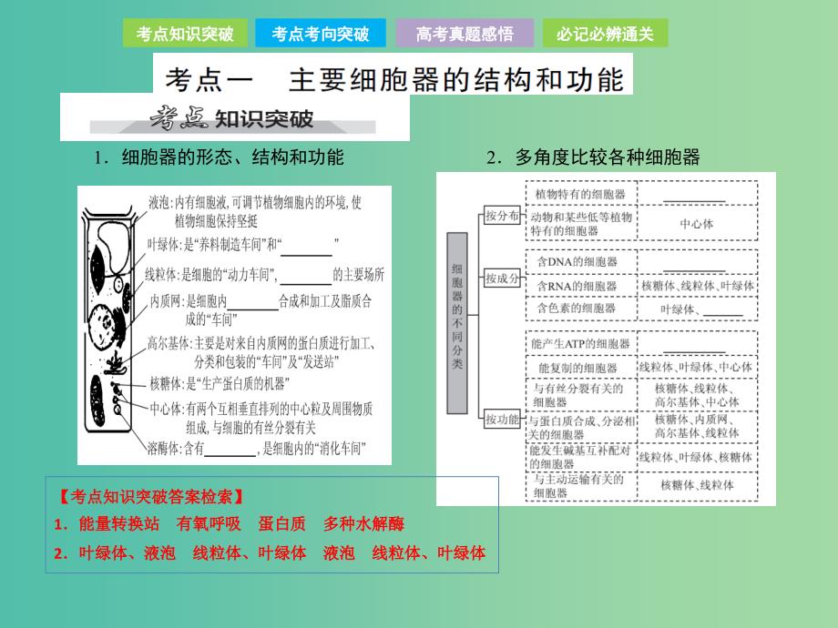 高考生物总复习第二单元细胞的基本结构与物质的运输第2讲细胞器-系统内的分工合作课件_第2页