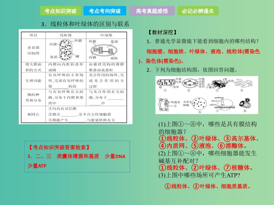 高考生物总复习第二单元细胞的基本结构与物质的运输第2讲细胞器-系统内的分工合作课件_第3页