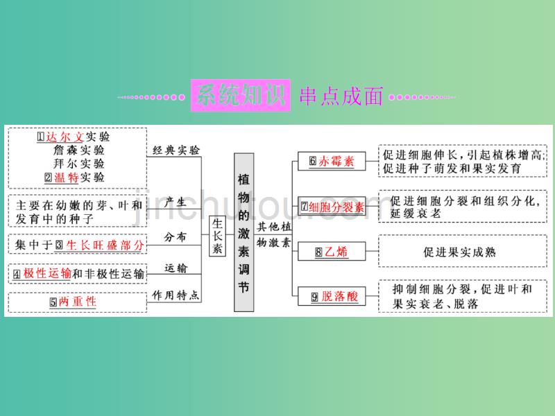 高考生物二轮复习专题四调节串讲二植物的激素调节第1课时基础自查课件_第2页