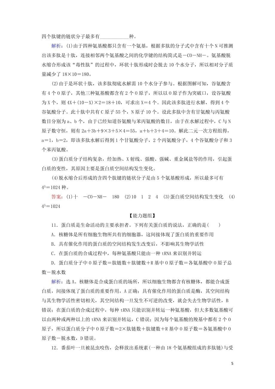 2020版高考生物一轮复习第3讲限时规范训练3蛋白质和核酸含解析新人教版_第5页