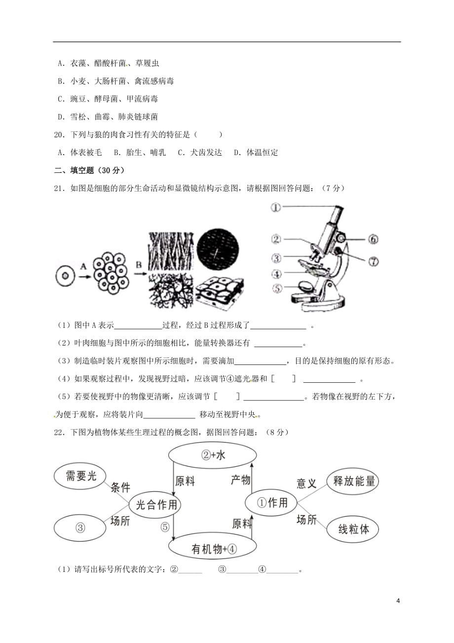 山东省夏津实验中学2017届九年级生物上学期期中试题_第4页