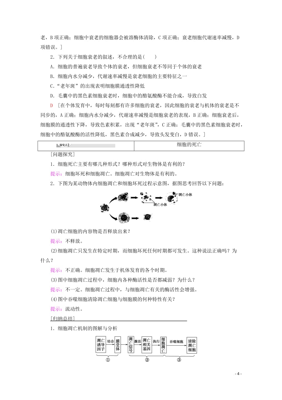 2019-2020年新教材高中生物 第6章 第3节 细胞的衰老和死亡教案 新人教版必修1_第4页