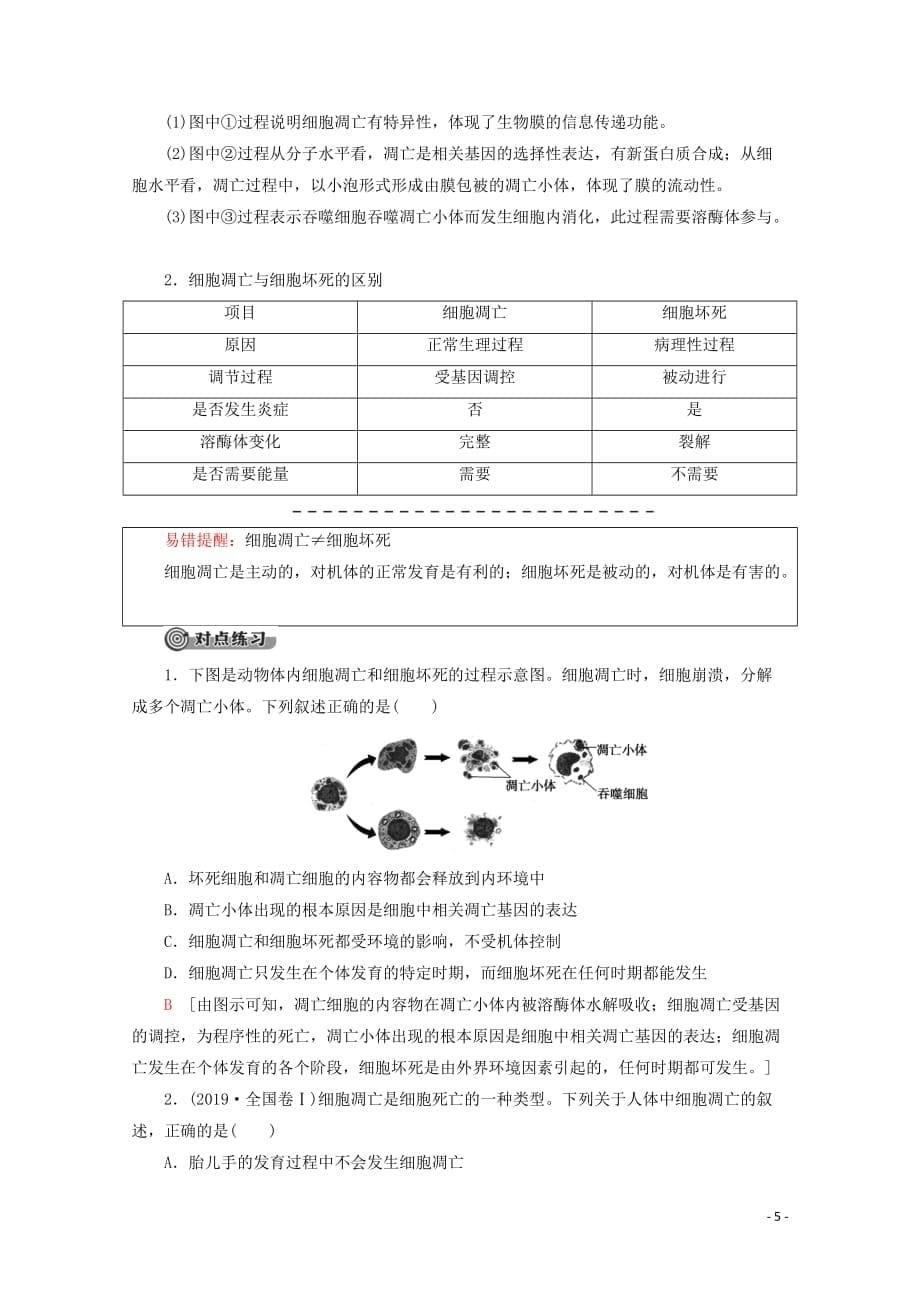 2019-2020年新教材高中生物 第6章 第3节 细胞的衰老和死亡教案 新人教版必修1_第5页