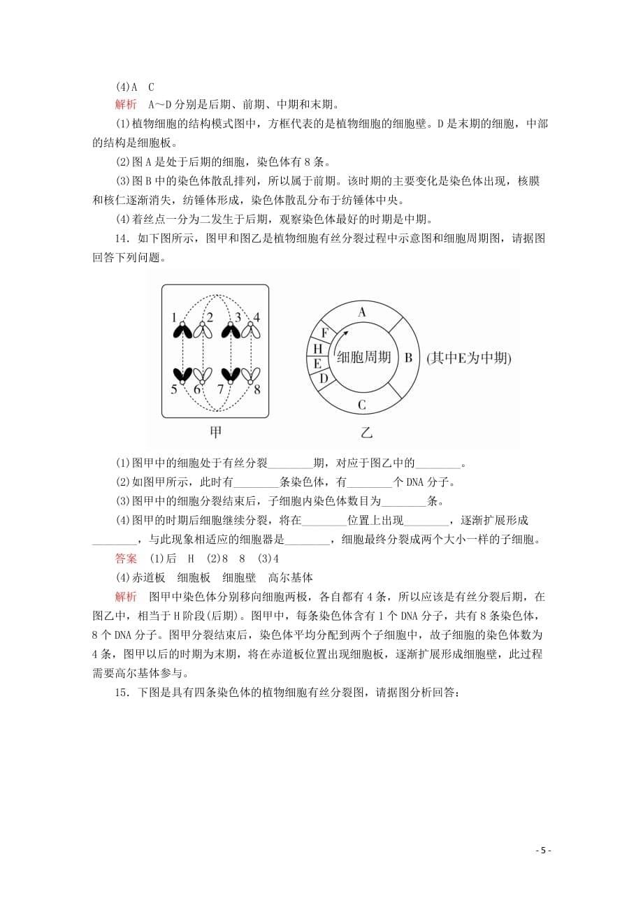 2019-2020学年高中生物 第6章 第1节 第1课时 细胞的增殖课时精练（含解析）新人教版必修1_第5页