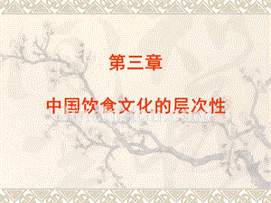 第三章-中国饮食文化的层次性ppt(庄军)