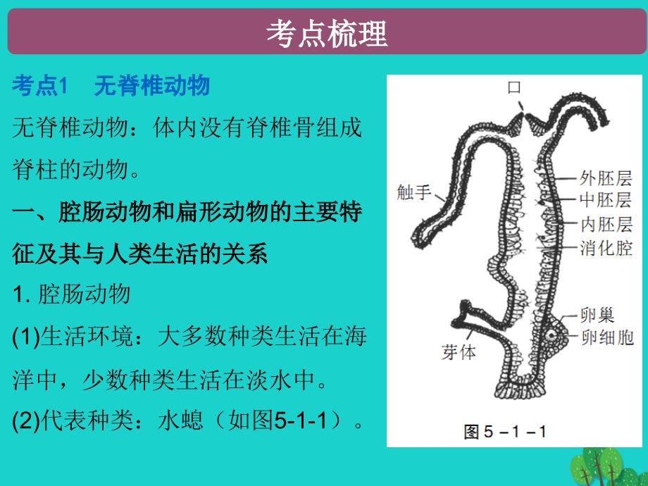 广东省2017年中考生物 第五单元 第一章 动物的主要类群复习课件_第2页