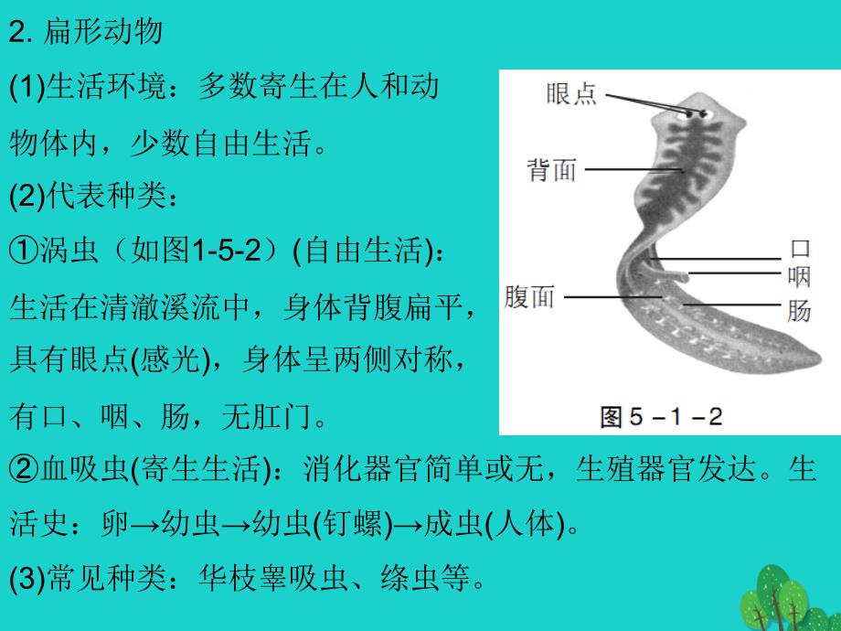 广东省2017年中考生物 第五单元 第一章 动物的主要类群复习课件_第4页