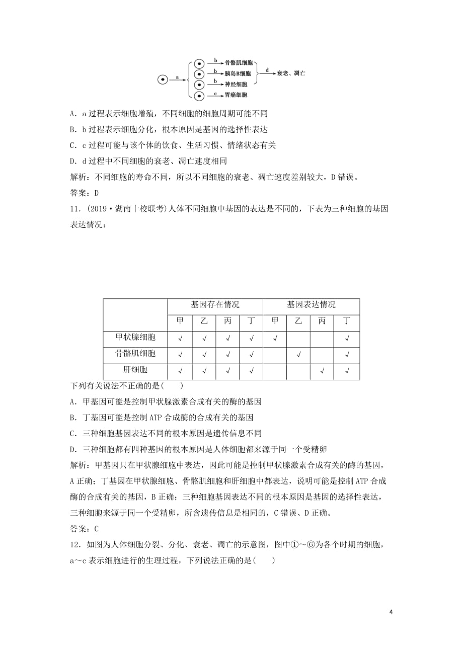 2020高考生物大一轮复习第四单元第3讲细胞的分化衰老凋亡和癌变练习含解析新人教版_第4页