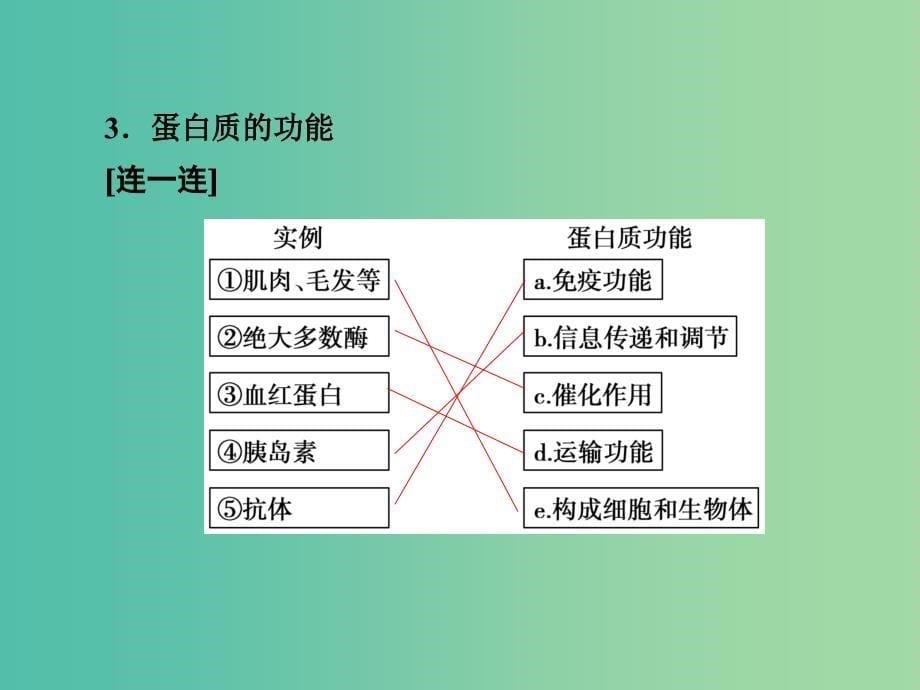 高考生物一轮复习 1.3生命活动的主要承担者-蛋白质课件_第5页