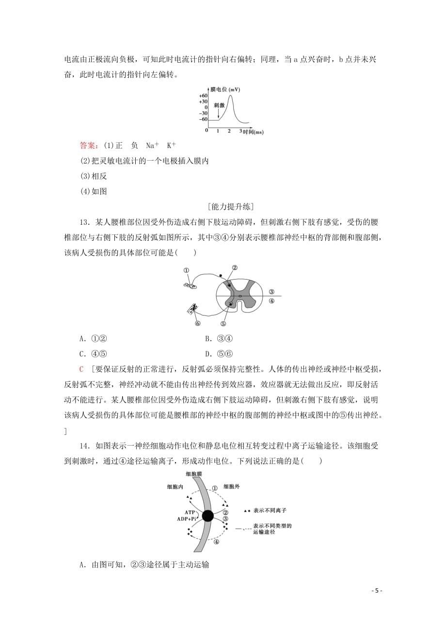 2019-2020学年高中生物 课时分层作业3 通过神经系统的调节（一）（含解析）新人教版必修3_第5页