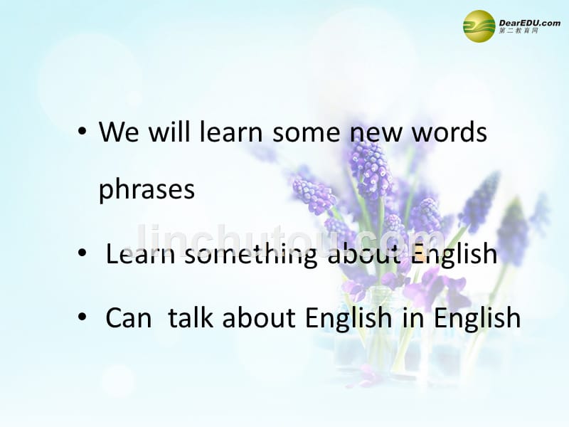 冀教初中英语七下《Lesson 27 Amazing English》PPT课件 (3)_第2页