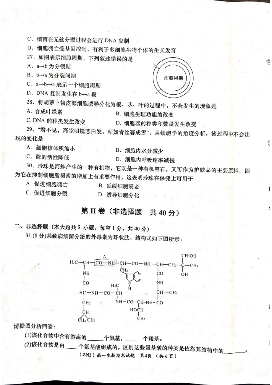 甘肃省甘南州卓尼县柳林中学2018-2019学年高一生物下学期期末考试试题（pdf无答案）_第4页