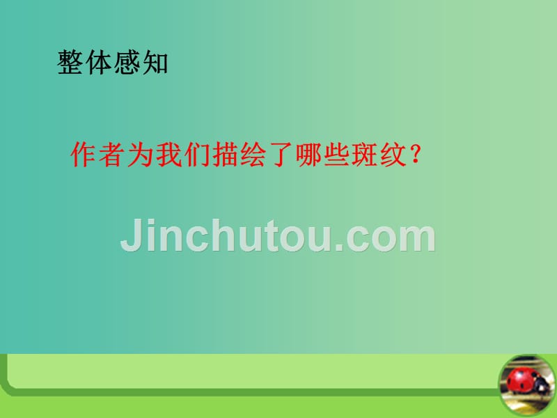 高中语文 第1专题《斑纹》课件 苏教版必修5_第4页