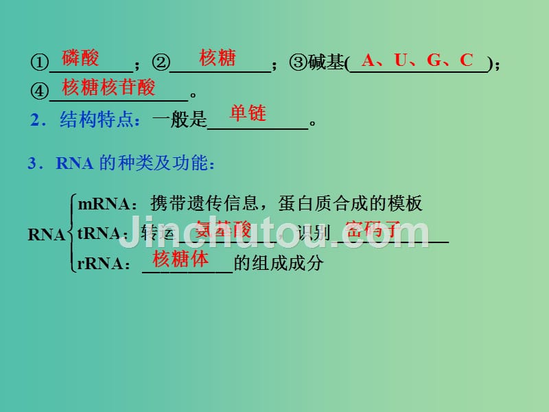 高考生物一轮复习 第六单元 第19讲 基因的表达课件_第4页