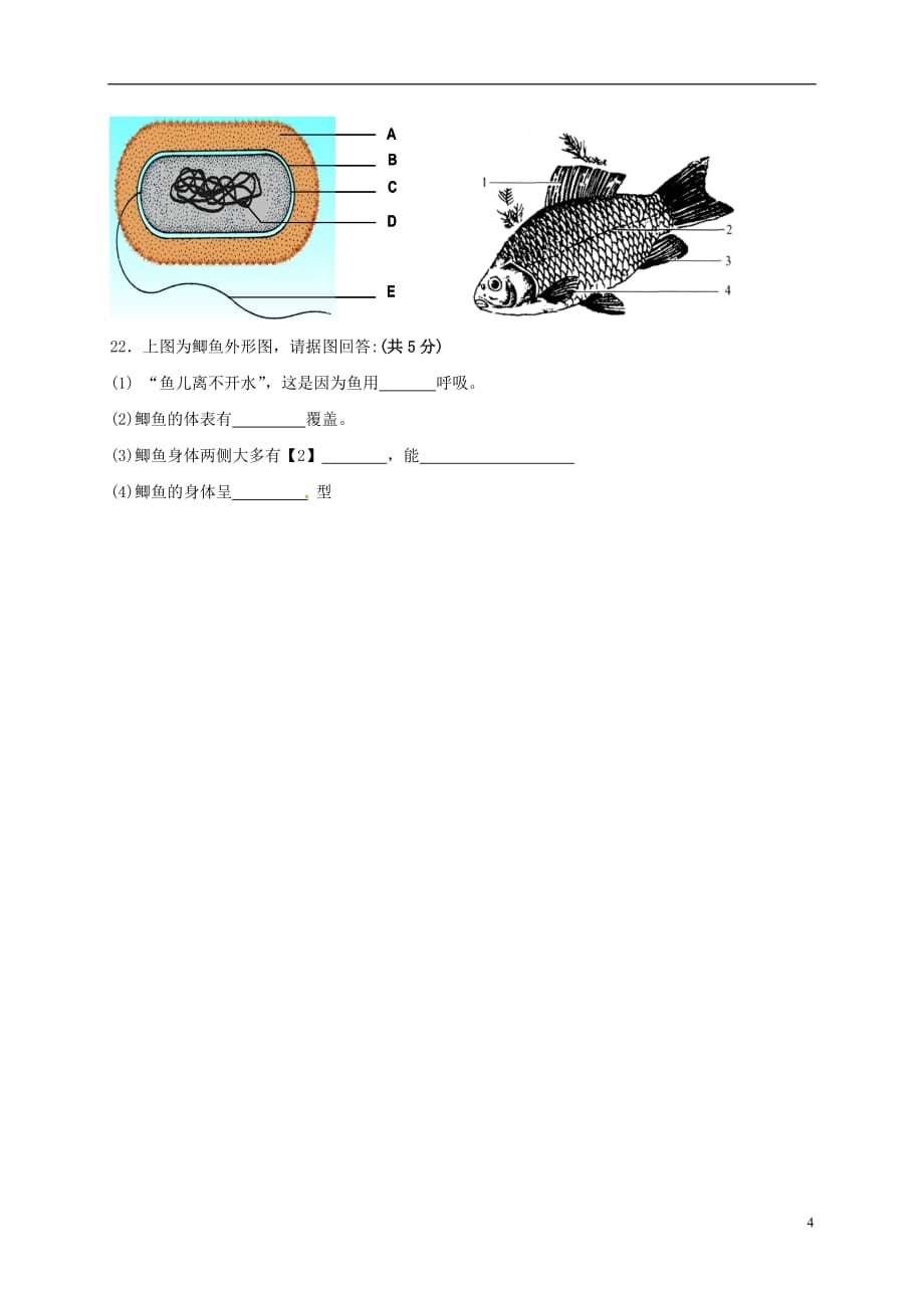 江苏省东台市第三教育联盟2016-2017学年八年级生物上学期第一次月考试题_第4页