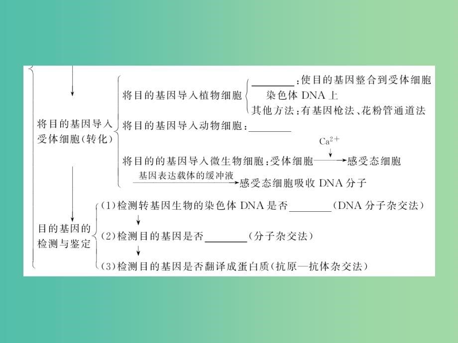 高考生物大一轮复习 第十一单元 生物技术实践41课件 新人教版_第5页