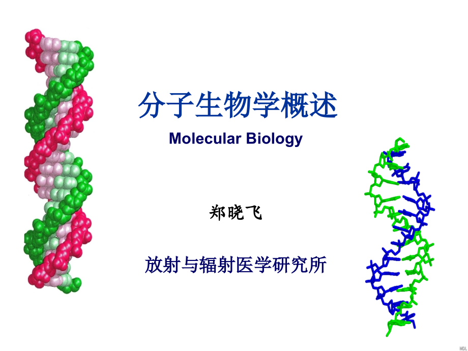 20111111-2011分子生物学概述_第1页