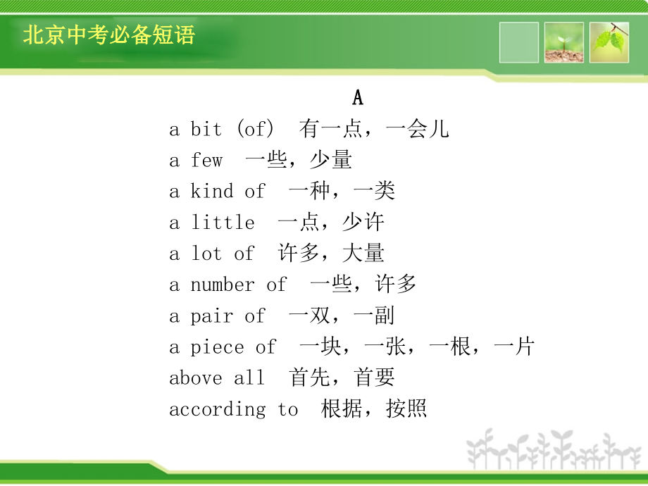 2013年中考北京英语复习方案课件附录(59张ppt)_第4页