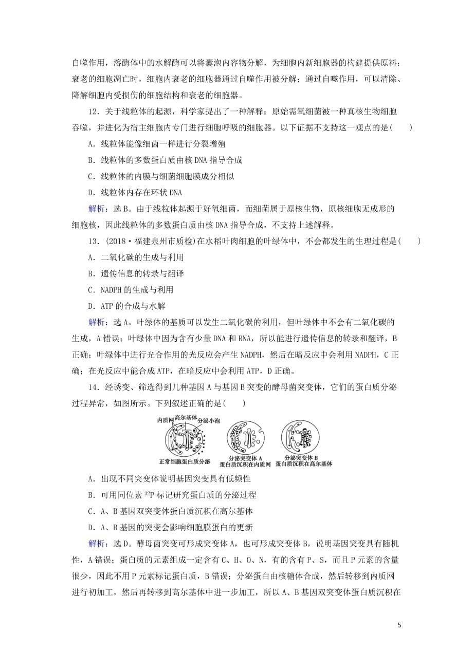 2020版高考生物一轮复习第5讲限时规范训练5细胞器和生物膜系统含解析新人教版_第5页