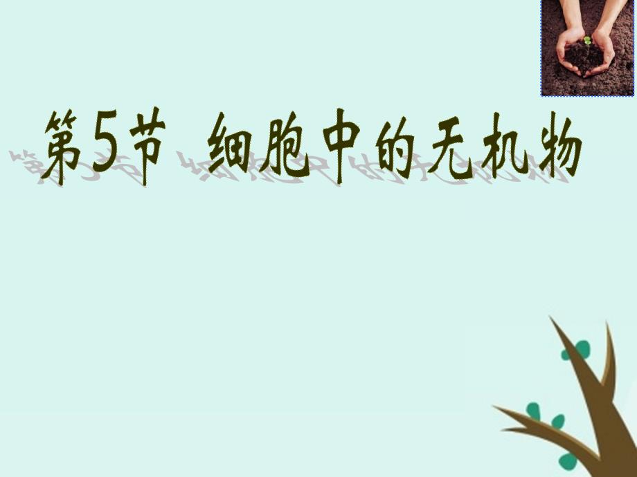 山西省晋城市高中生物 第二章 组成细胞的分子 2.5 细胞中的无机物课件 新人教版必修1_第1页