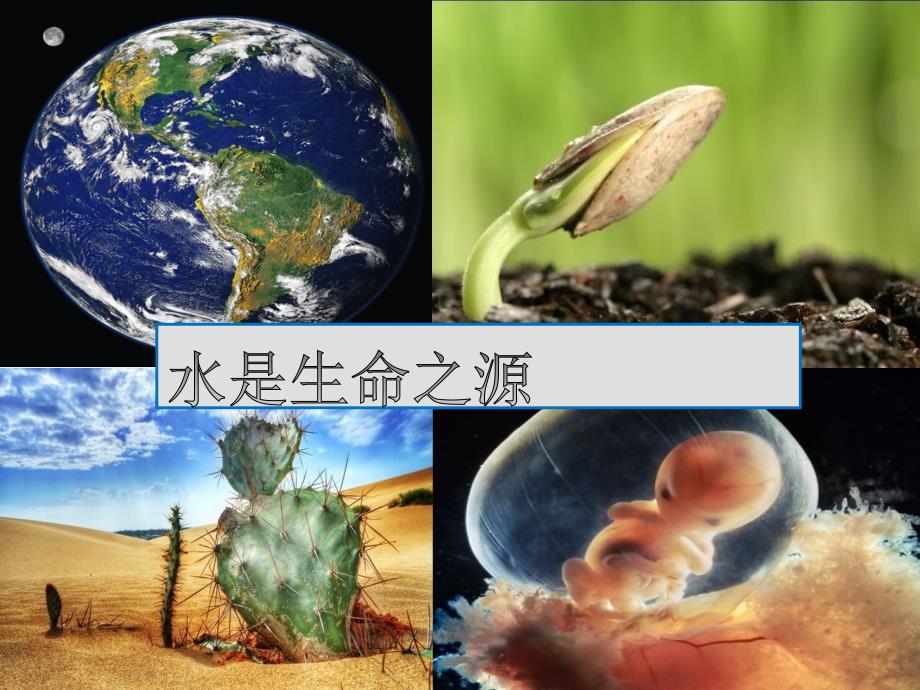 山西省晋城市高中生物 第二章 组成细胞的分子 2.5 细胞中的无机物课件 新人教版必修1_第2页