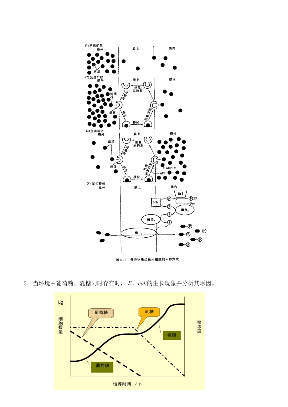 食品微生物学第1阶段练习题及答案资料_第2页