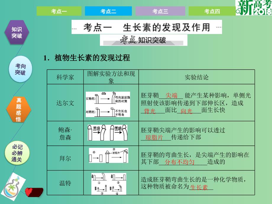 高考生物总复习第九单元植物的激素调节课件_第2页