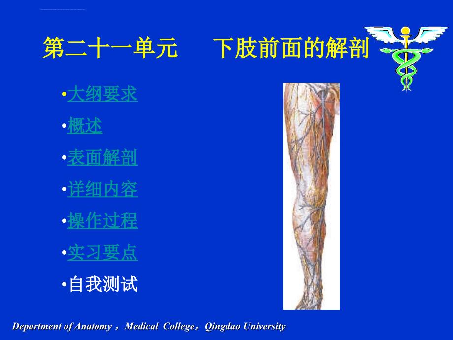 下肢解剖课件-前面.ppt_第1页