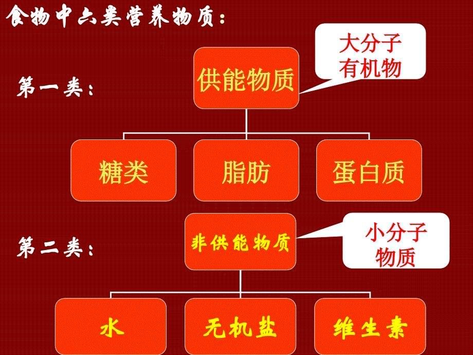 新人教版七年级生物下册第二章第二节消化和吸收精品课件.ppt_第5页