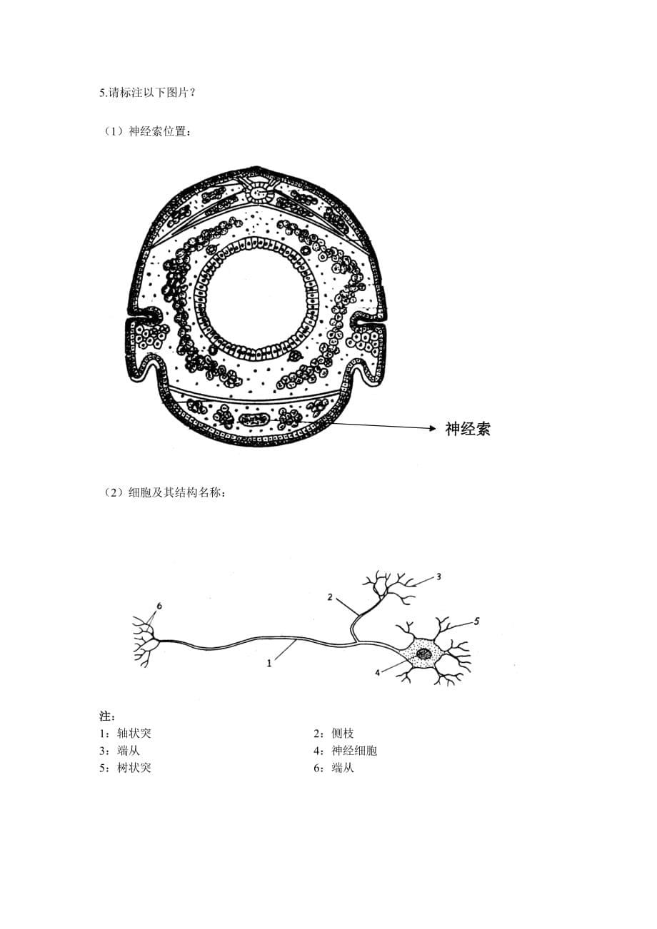 2014年华南农业大学研究生昆虫生理学期末考试试卷_第5页