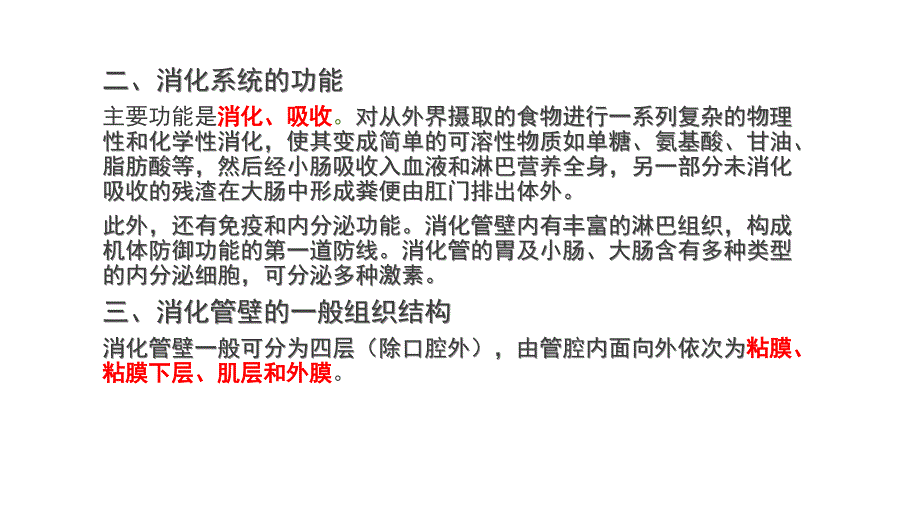 系统解剖学之消化系统.ppt_第4页