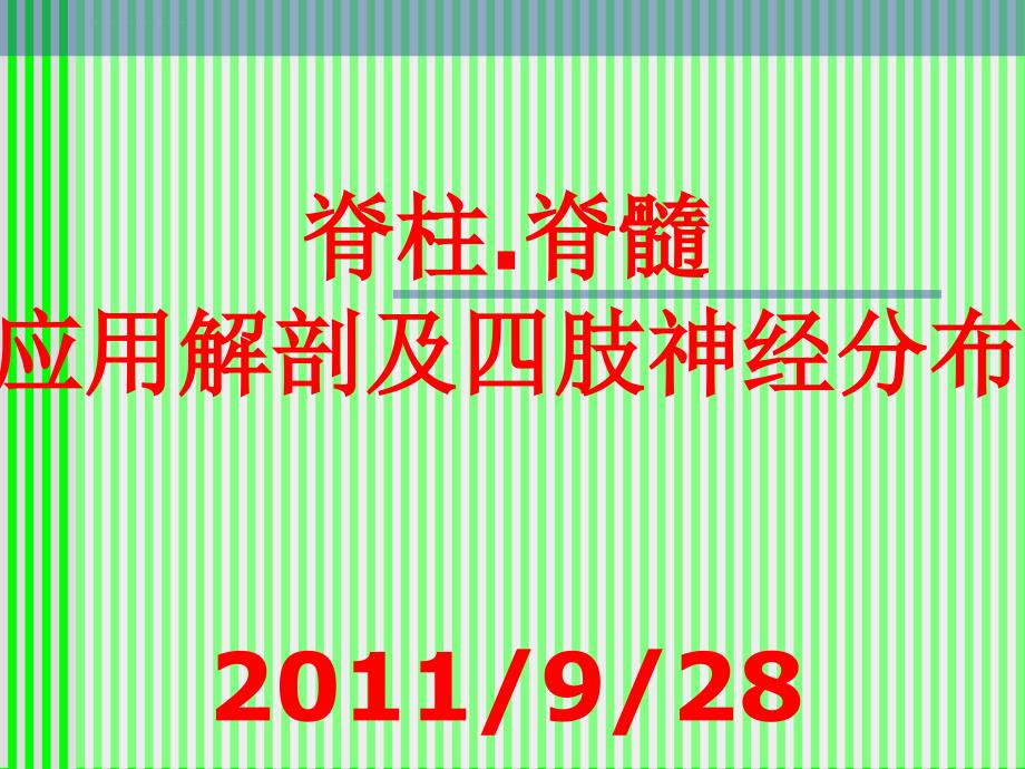 脊柱解剖与神经分布.ppt_第1页