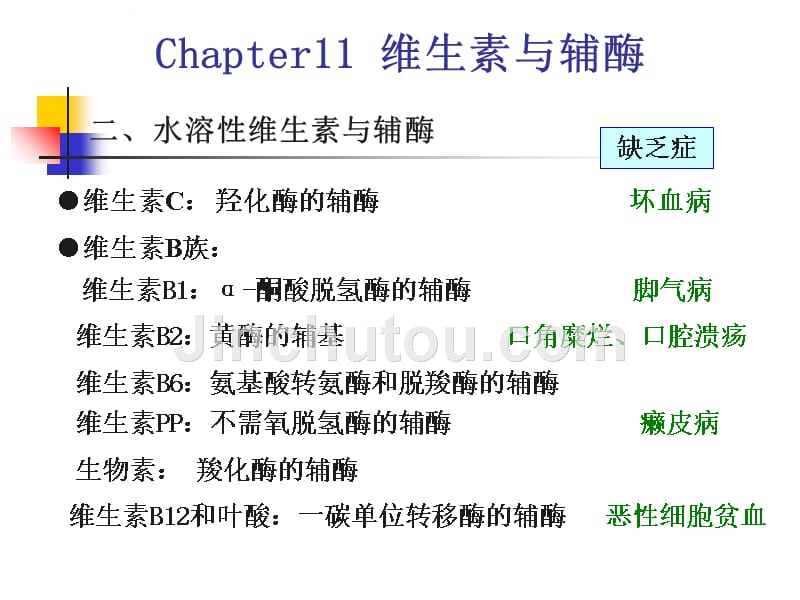 第11章-维生素与辅酶.ppt_第3页