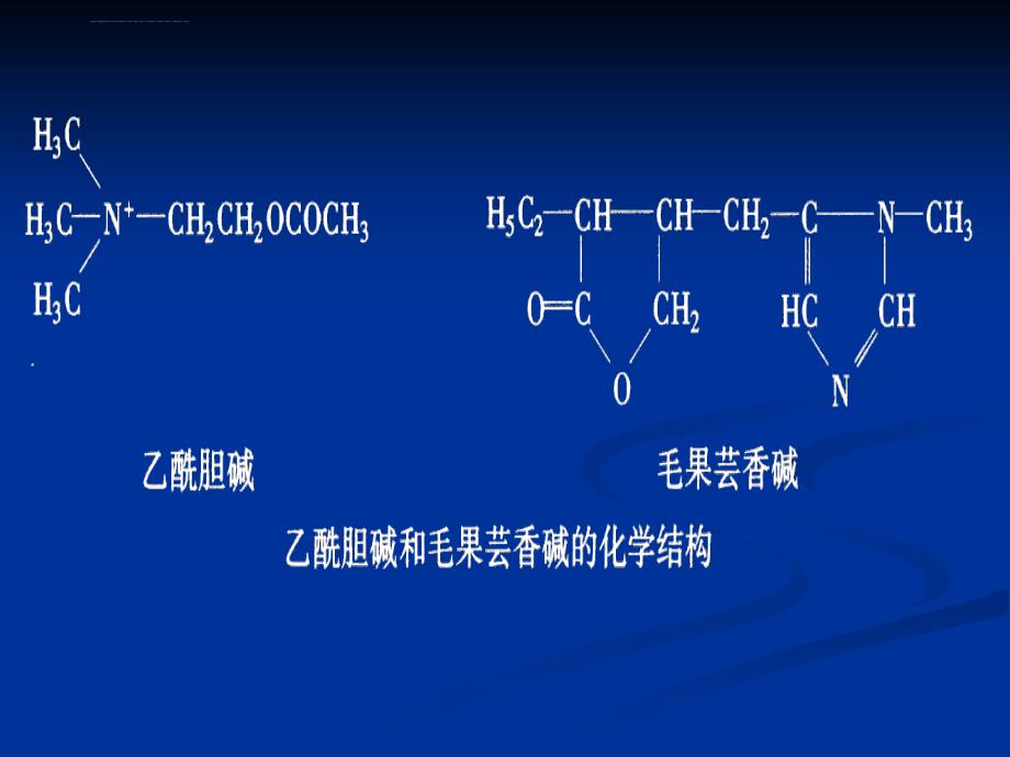 胆碱受体激动药和阻断药 (2).ppt_第4页