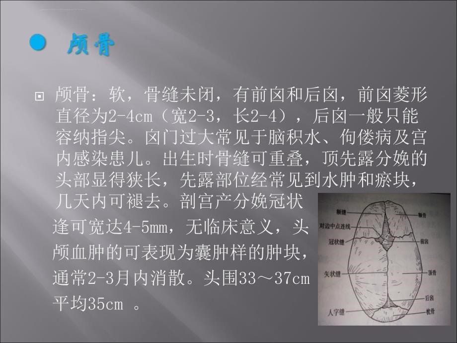 新生儿身体评估.ppt_第5页