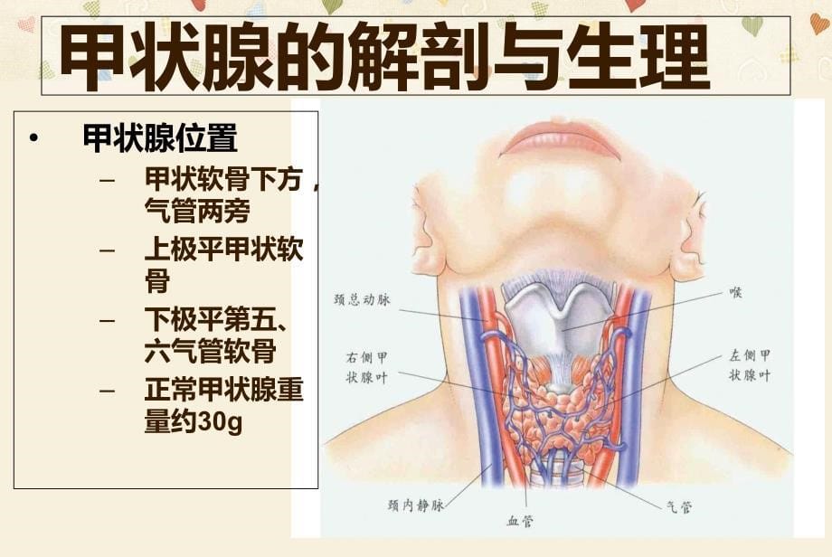 中医外科学——瘿.ppt_第5页