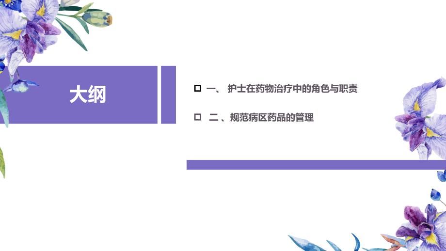 病区药品管理规范.ppt_第2页